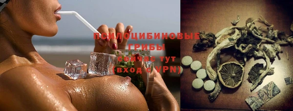 ECSTASY Алзамай