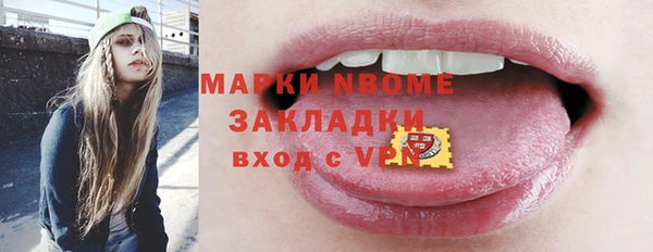 ECSTASY Алзамай