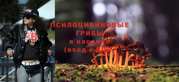 герыч Алексин