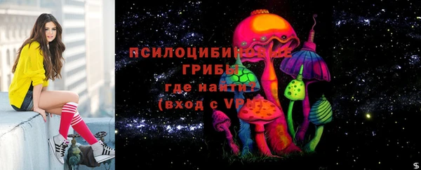 герыч Алексин
